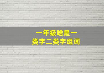 一年级啥是一类字二类字组词