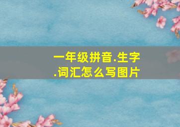 一年级拼音.生字.词汇怎么写图片