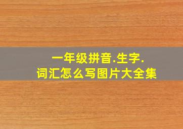 一年级拼音.生字.词汇怎么写图片大全集