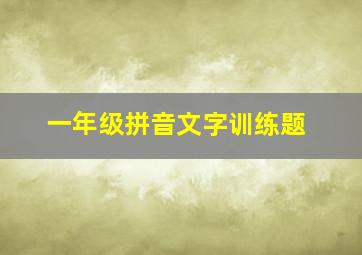 一年级拼音文字训练题