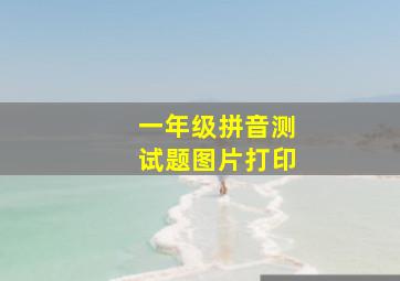 一年级拼音测试题图片打印