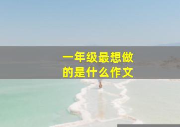 一年级最想做的是什么作文