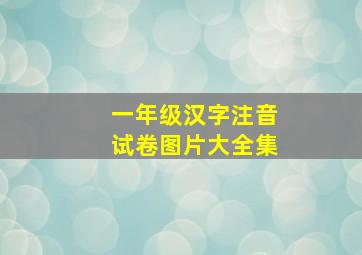 一年级汉字注音试卷图片大全集