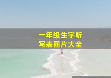 一年级生字听写表图片大全