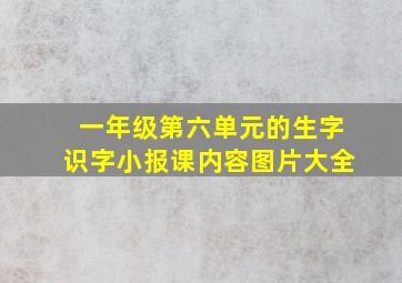 一年级第六单元的生字识字小报课内容图片大全