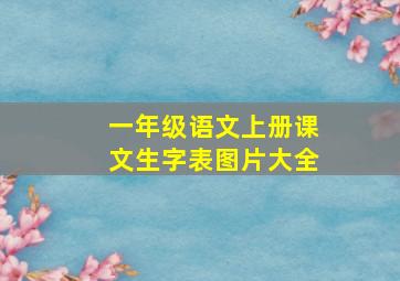 一年级语文上册课文生字表图片大全