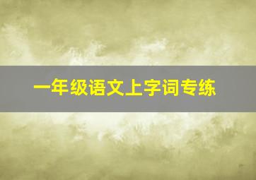 一年级语文上字词专练