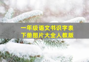 一年级语文书识字表下册图片大全人教版