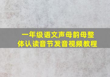 一年级语文声母韵母整体认读音节发音视频教程