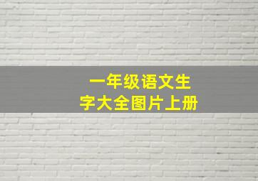 一年级语文生字大全图片上册