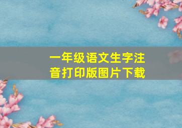 一年级语文生字注音打印版图片下载