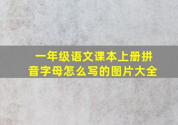 一年级语文课本上册拼音字母怎么写的图片大全