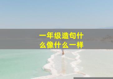 一年级造句什么像什么一样