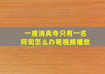 一座清真寺只有一名阿訇怎么办呢视频播放