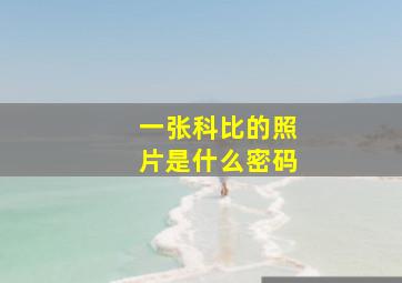 一张科比的照片是什么密码