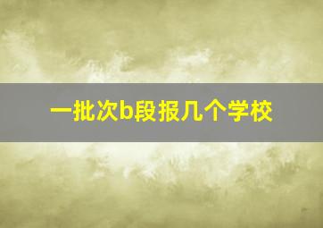 一批次b段报几个学校