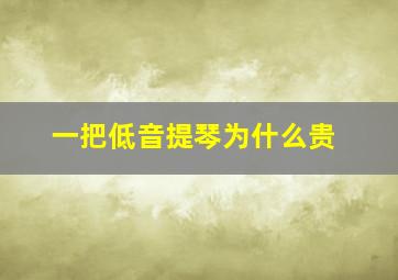 一把低音提琴为什么贵