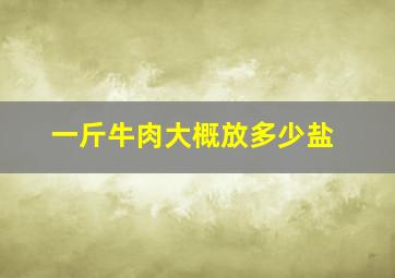 一斤牛肉大概放多少盐