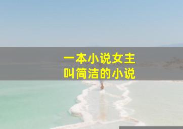 一本小说女主叫简洁的小说