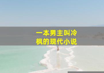 一本男主叫冷枫的现代小说