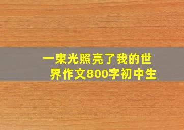 一束光照亮了我的世界作文800字初中生