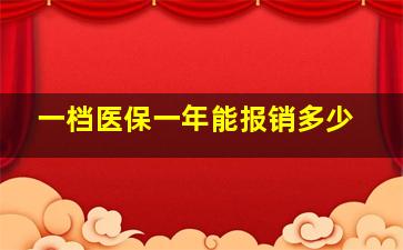 一档医保一年能报销多少