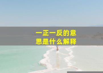 一正一反的意思是什么解释