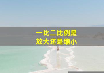 一比二比例是放大还是缩小