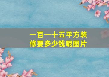 一百一十五平方装修要多少钱呢图片