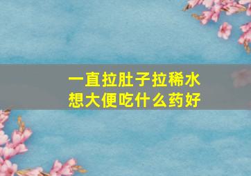 一直拉肚子拉稀水想大便吃什么药好