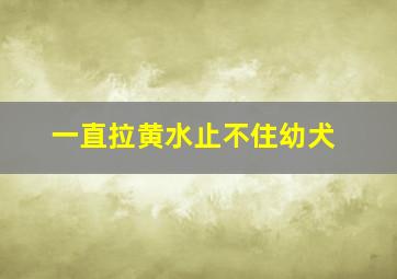 一直拉黄水止不住幼犬