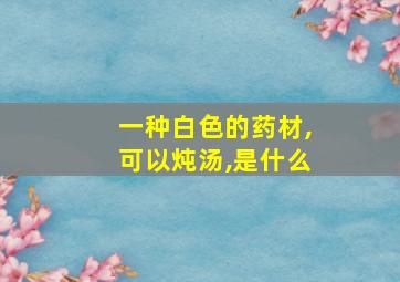 一种白色的药材,可以炖汤,是什么