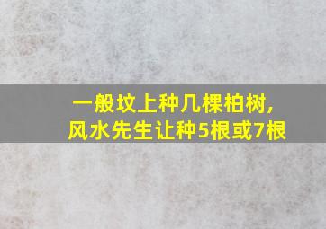 一般坟上种几棵柏树,风水先生让种5根或7根