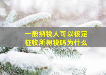 一般纳税人可以核定征收所得税吗为什么