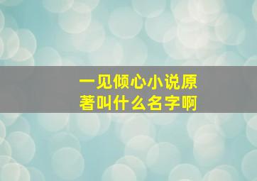 一见倾心小说原著叫什么名字啊