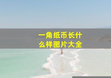 一角纸币长什么样图片大全