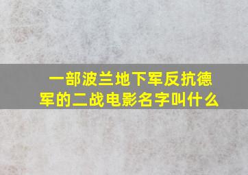 一部波兰地下军反抗德军的二战电影名字叫什么