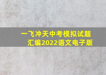 一飞冲天中考模拟试题汇编2022语文电子版