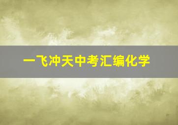 一飞冲天中考汇编化学