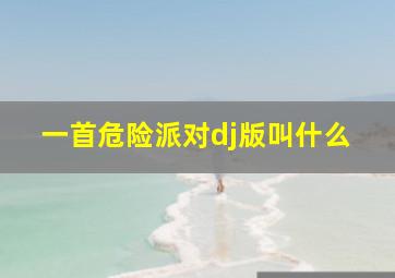 一首危险派对dj版叫什么