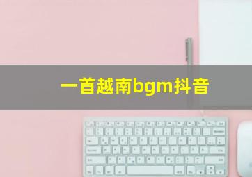 一首越南bgm抖音