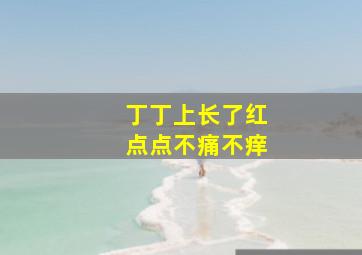 丁丁上长了红点点不痛不痒