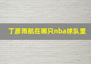 丁彦雨航在哪只nba球队里