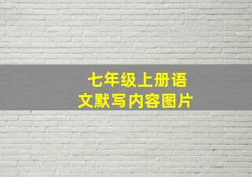 七年级上册语文默写内容图片