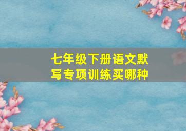 七年级下册语文默写专项训练买哪种