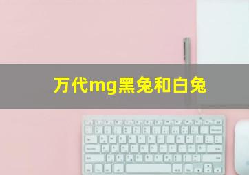 万代mg黑兔和白兔