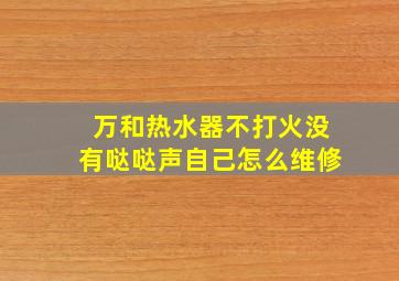 万和热水器不打火没有哒哒声自己怎么维修