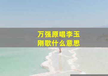 万强原唱李玉刚歌什么意思