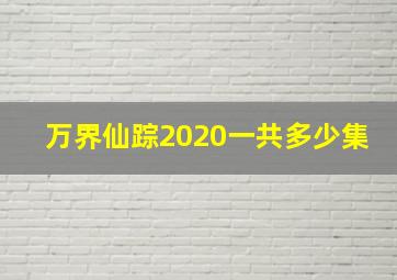 万界仙踪2020一共多少集