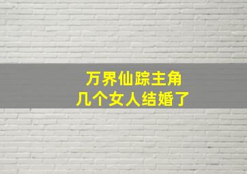 万界仙踪主角几个女人结婚了